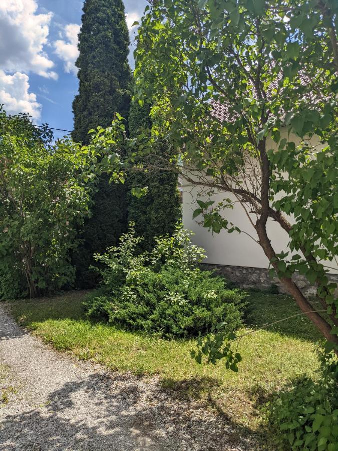 Hébergement de vacances Tulipan Haz *